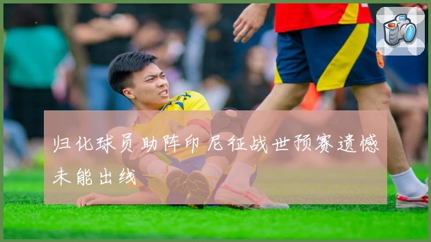 归化球员助阵印尼征战世预赛遗憾未能出线
