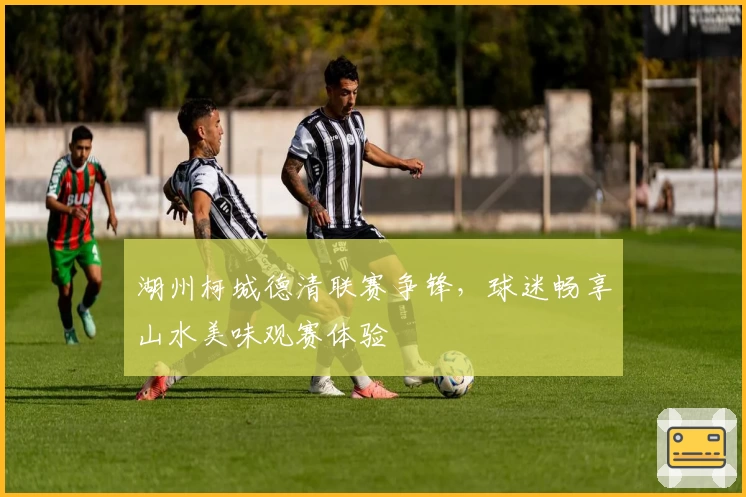 湖州柯城德清联赛争锋,球迷畅享山水美味观赛体验