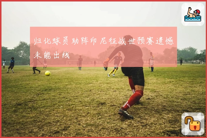 归化球员助阵印尼征战世预赛遗憾未能出线