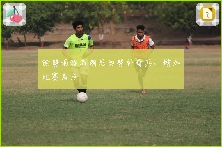 徐静雨称布朗尼为替补奇兵，增加比赛看点